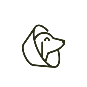 Pet Surgical Services