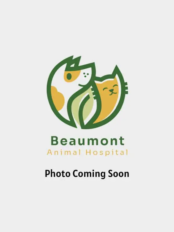 Coming Soon Image